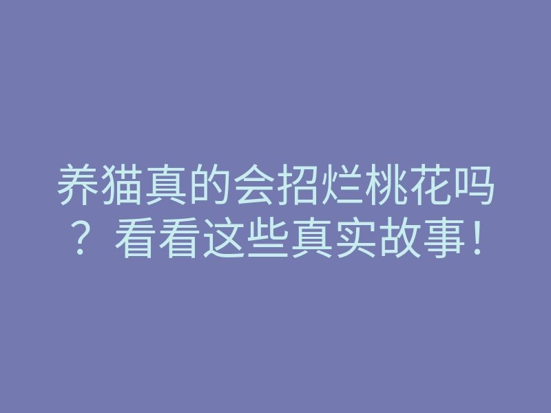 养猫真的会招烂桃花吗？看看这些真实故事！