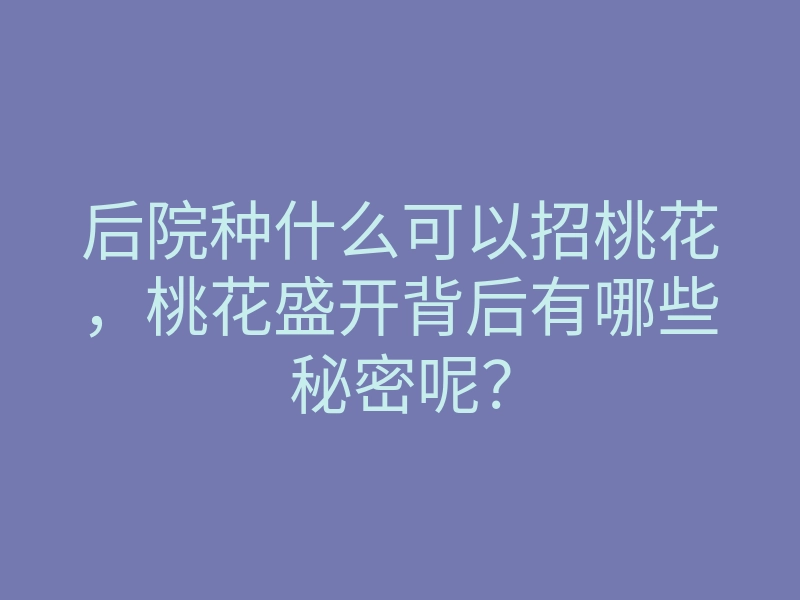 后院种什么可以招桃花,桃花盛开背后有哪些秘密呢?