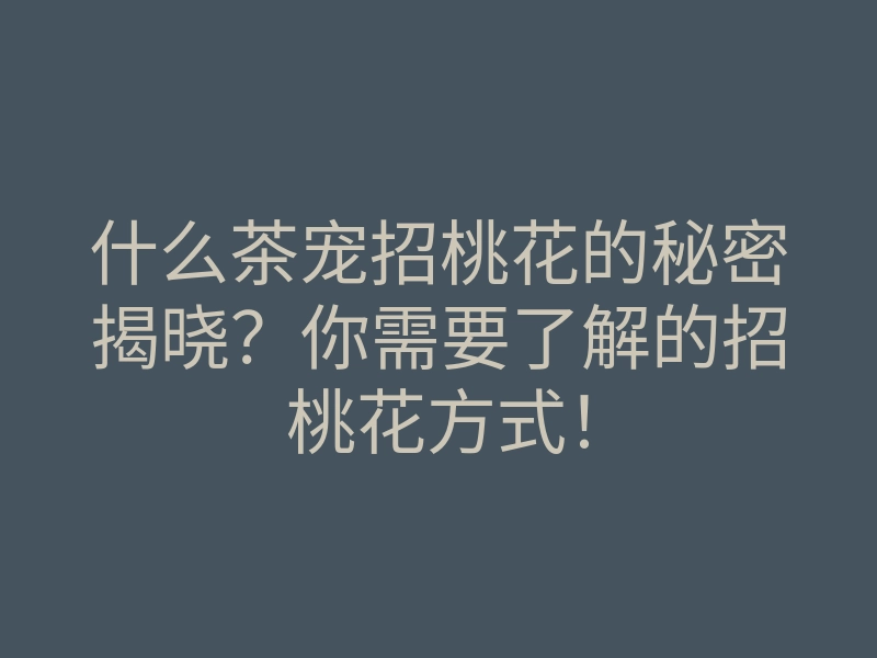 什么茶宠招桃花的秘密揭晓?你需要了解的招桃花方式!