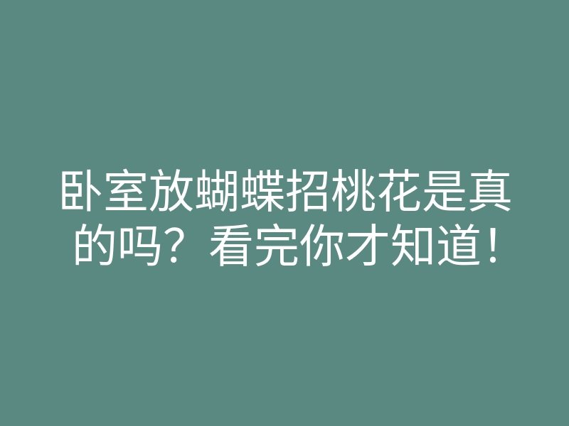 卧室放蝴蝶招桃花是真的吗?看完你才知道!