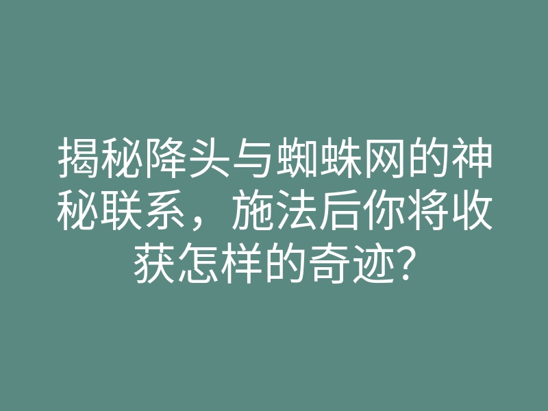 揭秘降头与蜘蛛网的神秘联系,施法后你将收获怎样的奇迹?