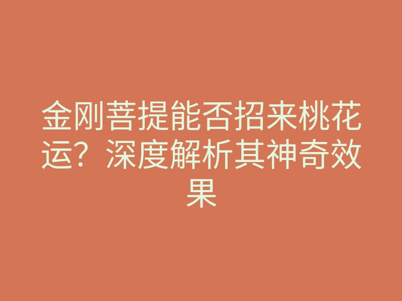 金刚菩提能否招来桃花运？深度解析其神奇效果
