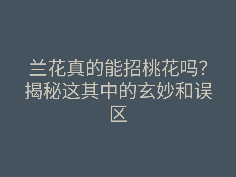兰花真的能招桃花吗?揭秘这其中的玄妙和误区