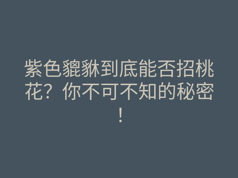 紫色貔貅到底能否招桃花?你不可不知的秘密!