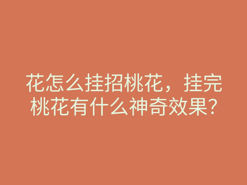 花怎么挂招桃花,挂完桃花有什么神奇效果?