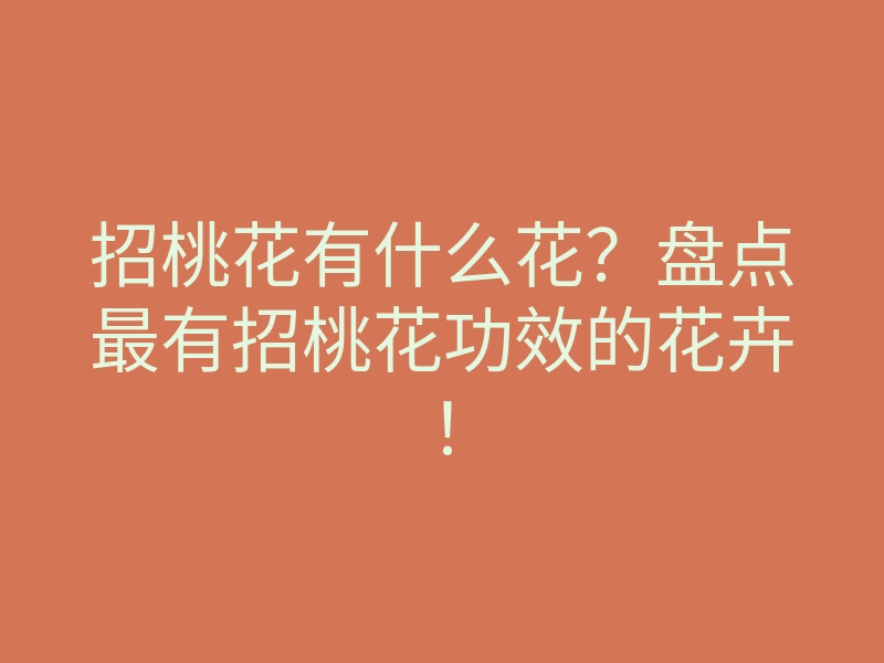 招桃花有什么花?盘点最有招桃花功效的花卉!