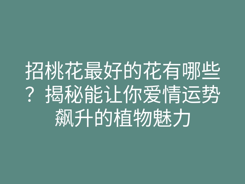 招桃花最好的花有哪些?揭秘能让你爱情运势飙升的植物魅力
