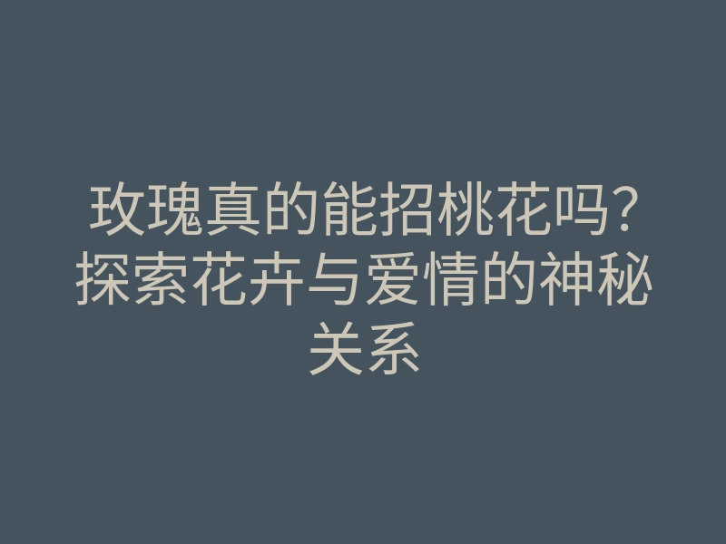 玫瑰真的能招桃花吗?探索花卉与爱情的神秘关系