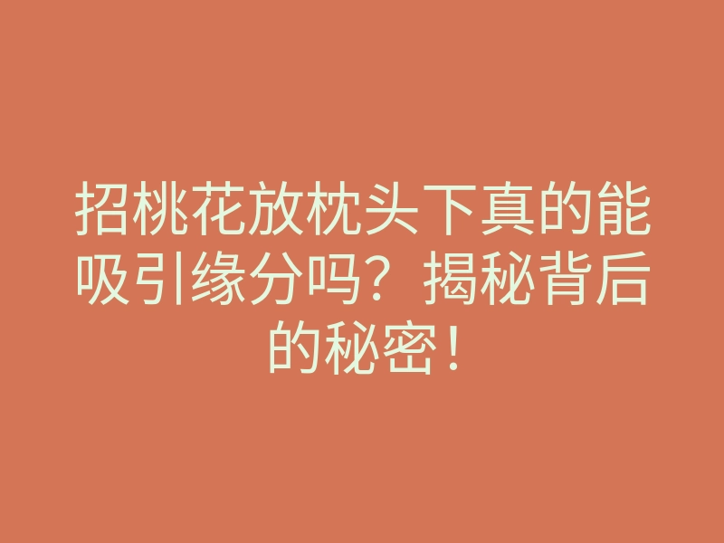 招桃花放枕头下真的能吸引缘分吗?揭秘背后的秘密!