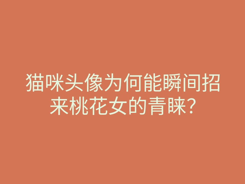 猫咪头像为何能瞬间招来桃花女的青睐？