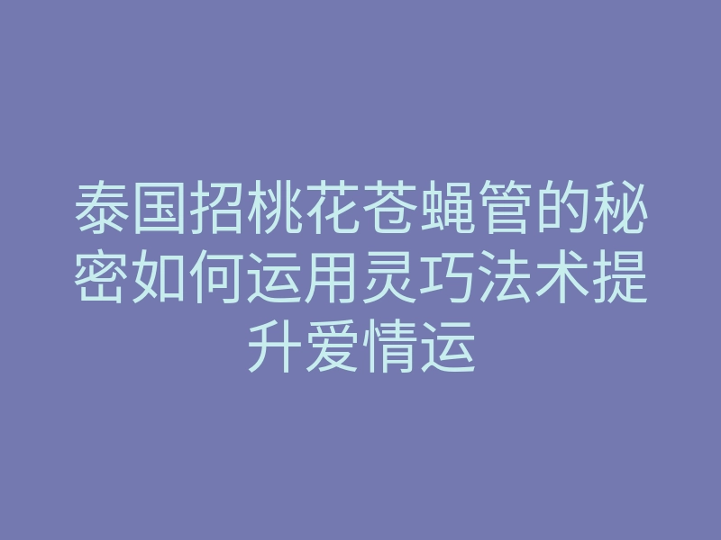 泰国招桃花苍蝇管的秘密如何运用灵巧法术提升爱情运
