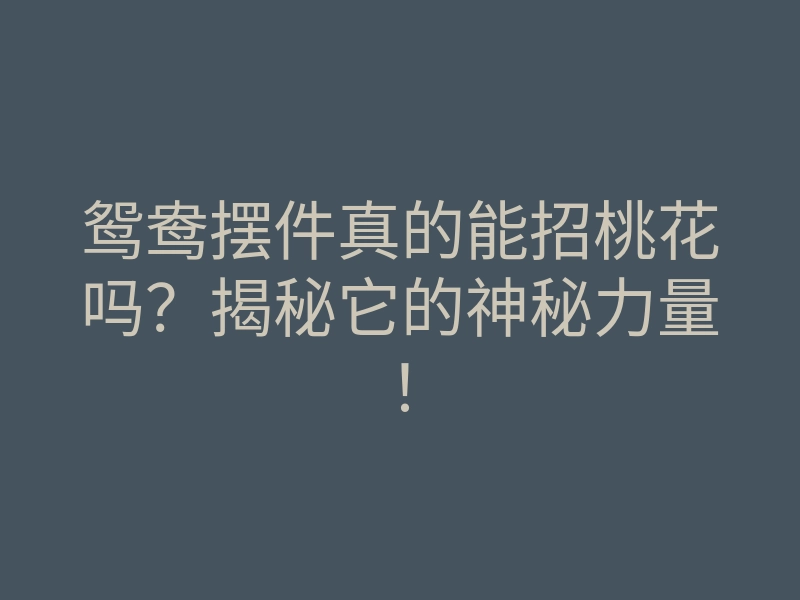鸳鸯摆件真的能招桃花吗?揭秘它的神秘力量!