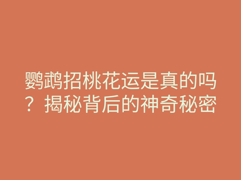 鹦鹉招桃花运是真的吗？揭秘背后的神奇秘密