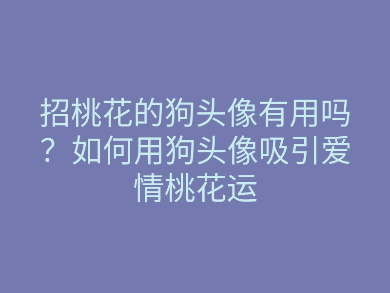 招桃花的狗头像有用吗?如何用狗头像吸引爱情桃花运