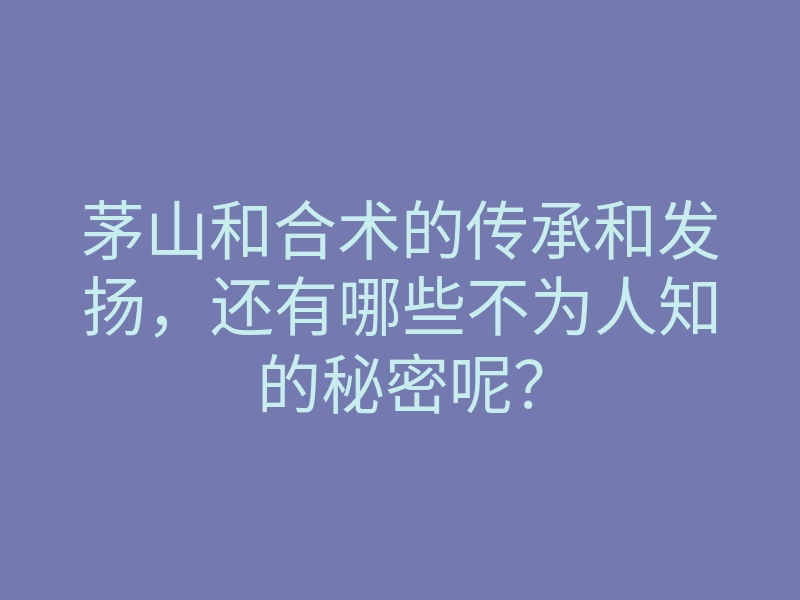 茅山和合术的传承和发扬，还有哪些不为人知的秘密呢？