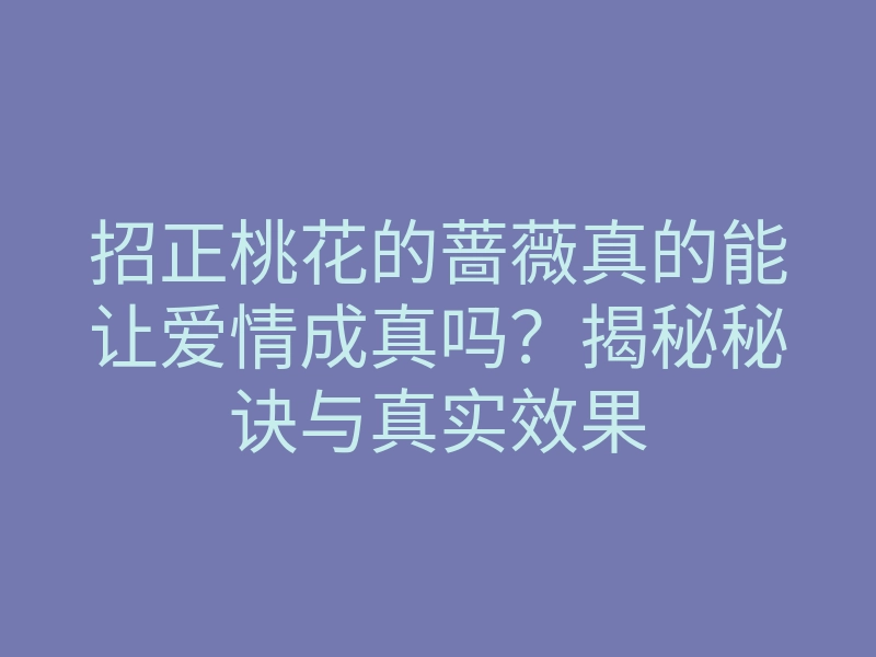 招正桃花的蔷薇真的能让爱情成真吗?揭秘秘诀与真实效果
