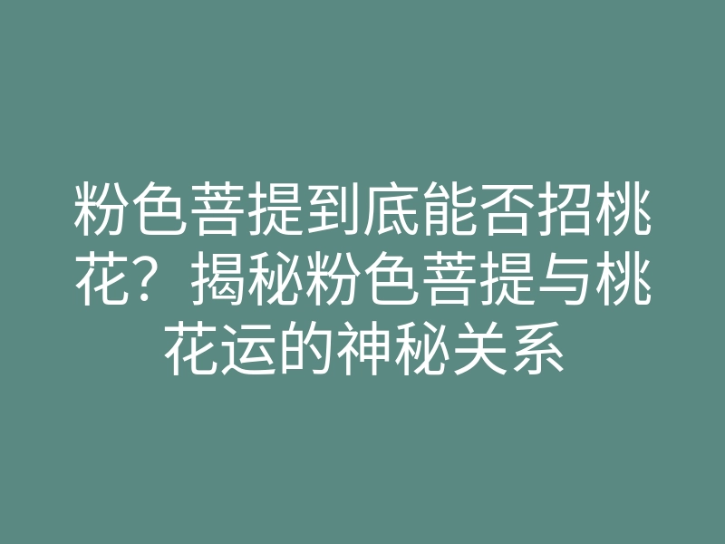 粉色菩提到底能否招桃花?揭秘粉色菩提与桃花运的神秘关系