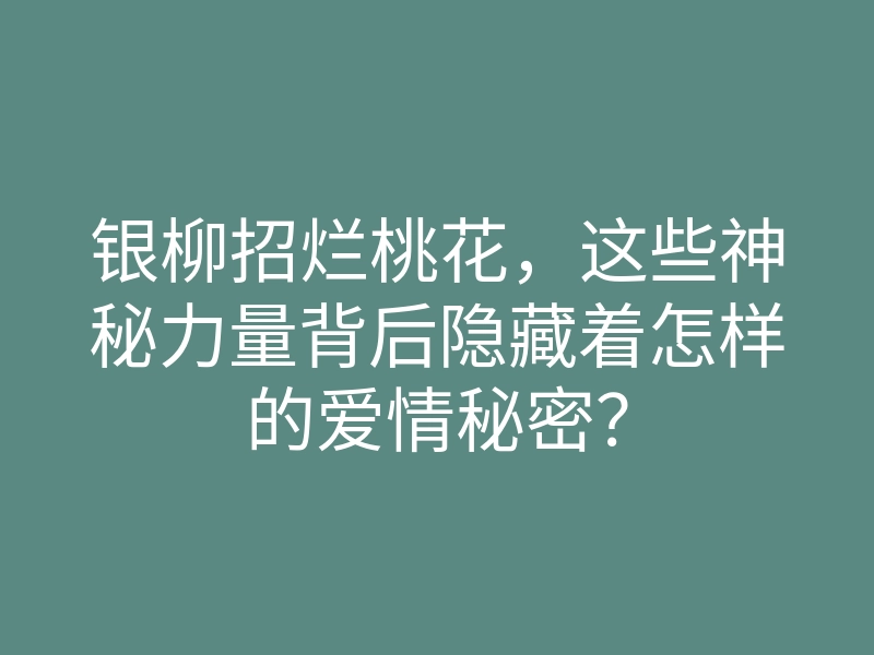银柳招烂桃花，这些神秘力量背后隐藏着怎样的爱情秘密？