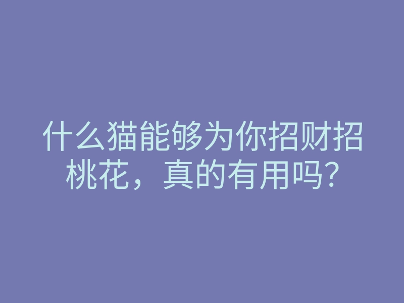 什么猫能够为你招财招桃花,真的有用吗?