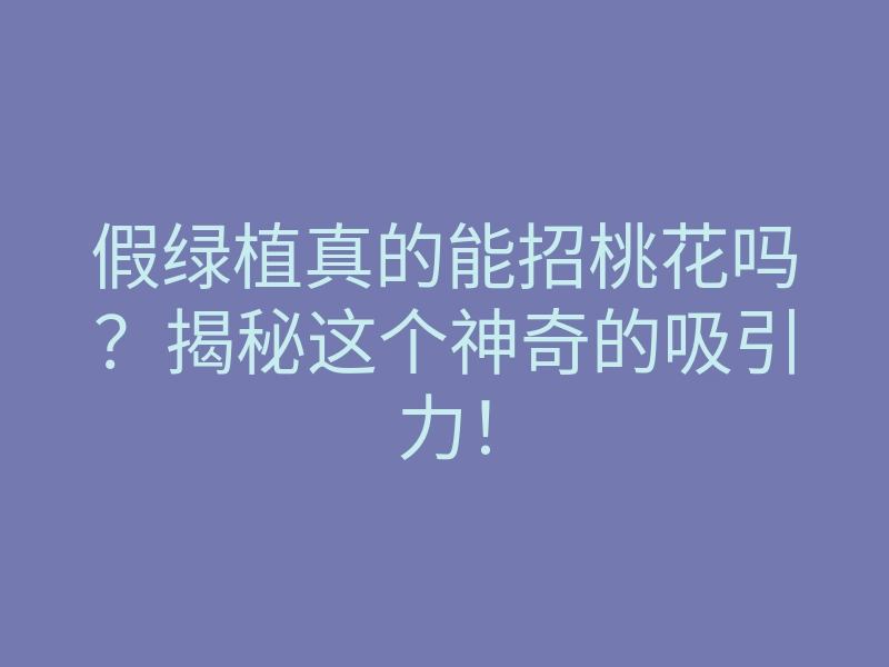 假绿植真的能招桃花吗?揭秘这个神奇的吸引力!
