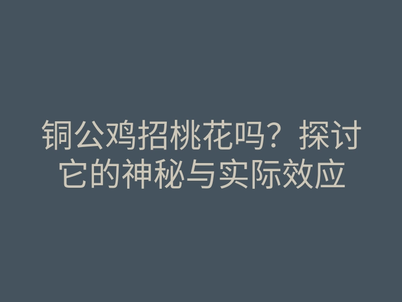 铜公鸡招桃花吗?探讨它的神秘与实际效应