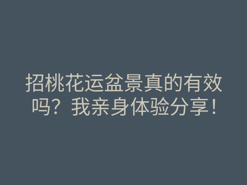 招桃花运盆景真的有效吗?我亲身体验分享!