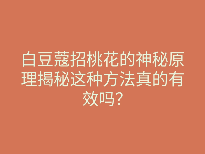 白豆蔻招桃花的神秘原理揭秘这种方法真的有效吗?