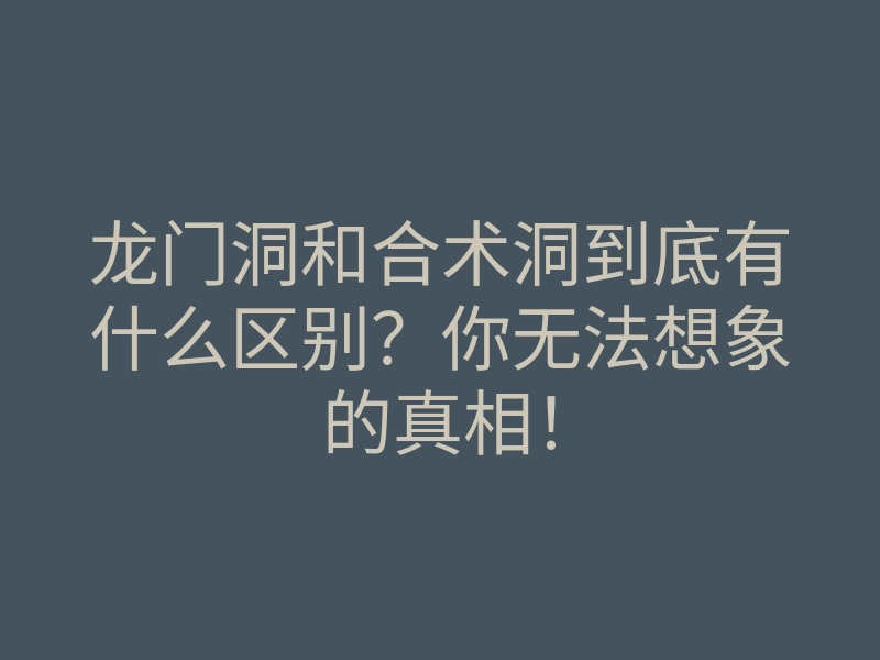 龙门洞和合术洞到底有什么区别?你无法想象的真相!