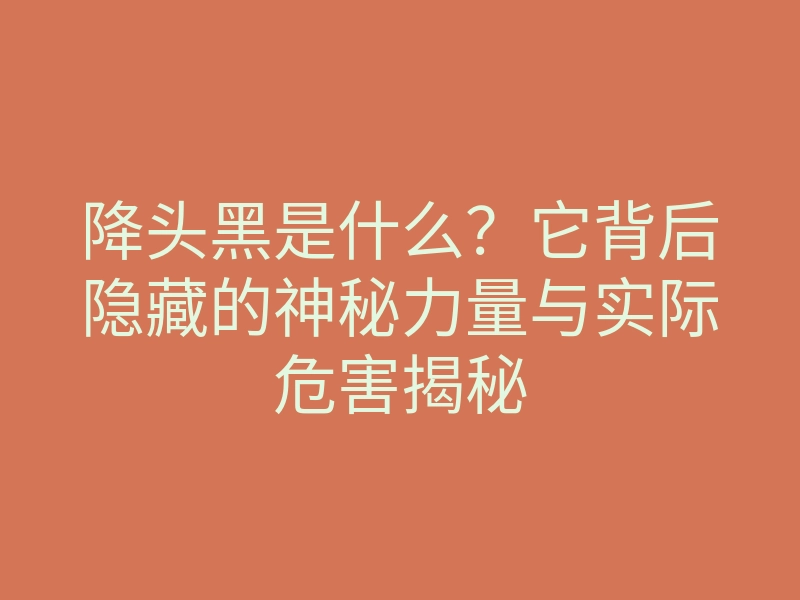 降头黑是什么?它背后隐藏的神秘力量与实际危害揭秘