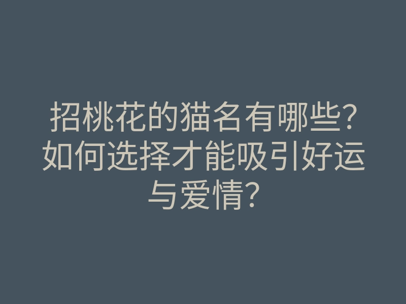 招桃花的猫名有哪些?如何选择才能吸引好运与爱情?