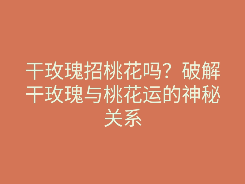 干玫瑰招桃花吗?破解干玫瑰与桃花运的神秘关系