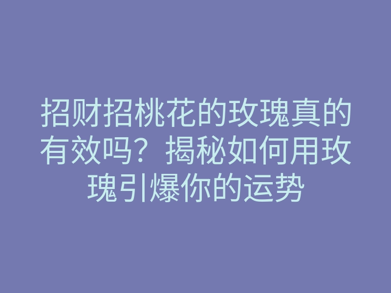 招财招桃花的玫瑰真的有效吗？揭秘如何用玫瑰引爆你的运势