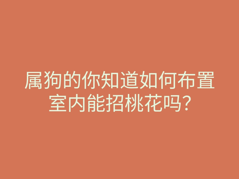 属狗的你知道如何布置室内能招桃花吗?
