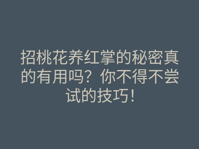 招桃花养红掌的秘密真的有用吗?你不得不尝试的技巧!