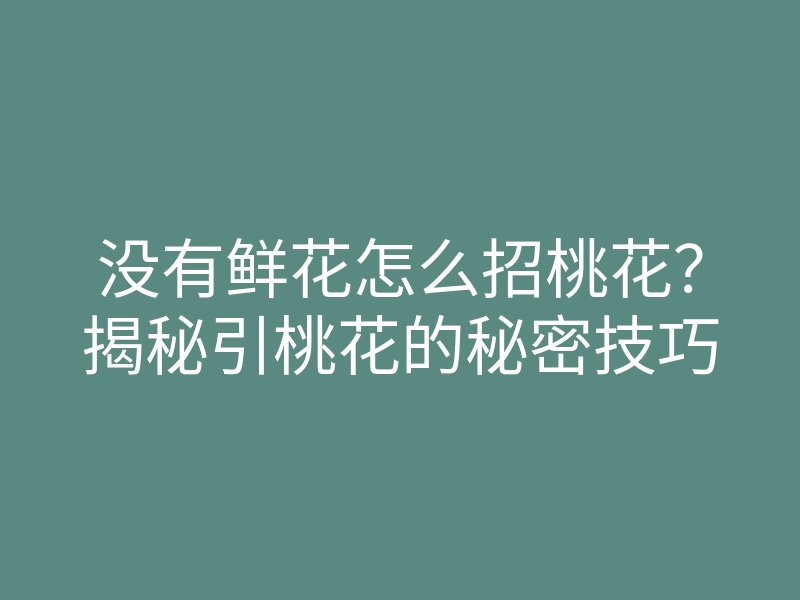 没有鲜花怎么招桃花?揭秘引桃花的秘密技巧