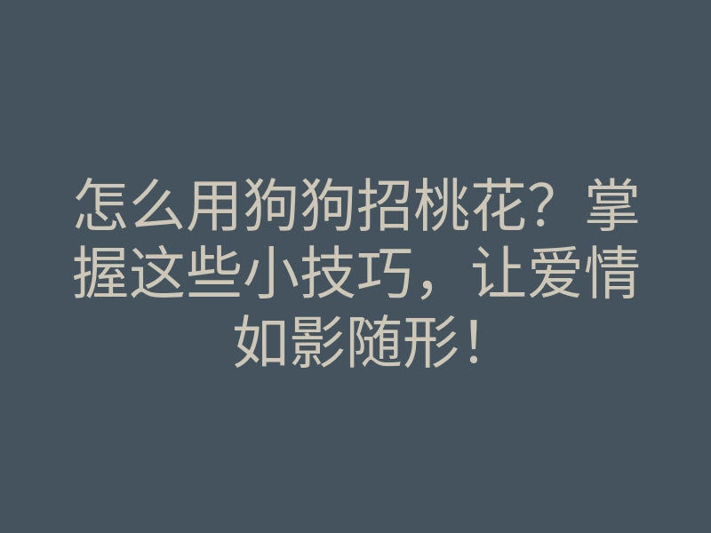 怎么用狗狗招桃花?掌握这些小技巧,让爱情如影随形!