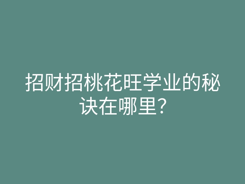 招财招桃花旺学业的秘诀在哪里?