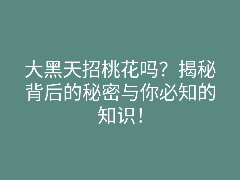 大黑天招桃花吗?揭秘背后的秘密与你必知的知识!