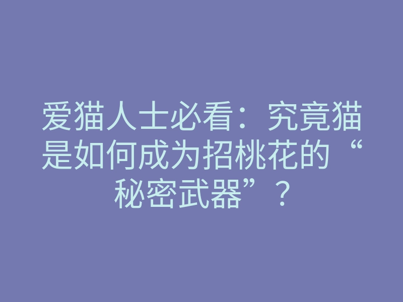 爱猫人士必看：究竟猫是如何成为招桃花的“秘密武器”？