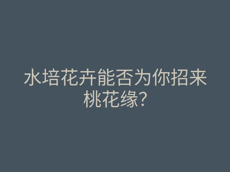 水培花卉能否为你招来桃花缘?
