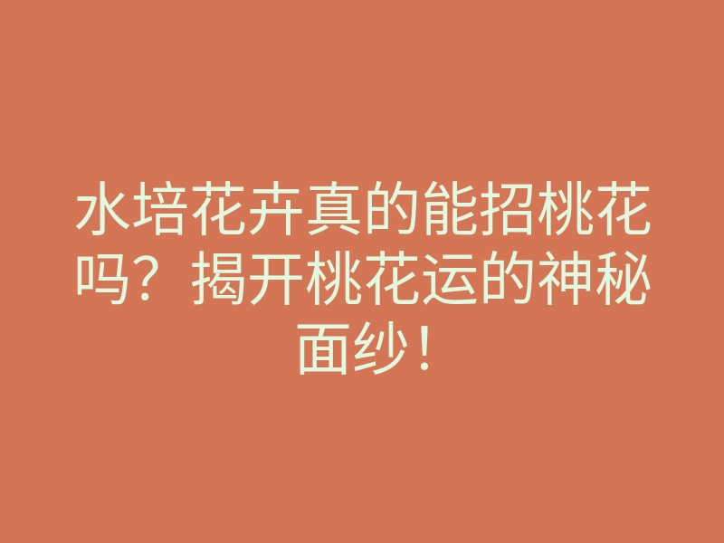 水培花卉真的能招桃花吗?揭开桃花运的神秘面纱!