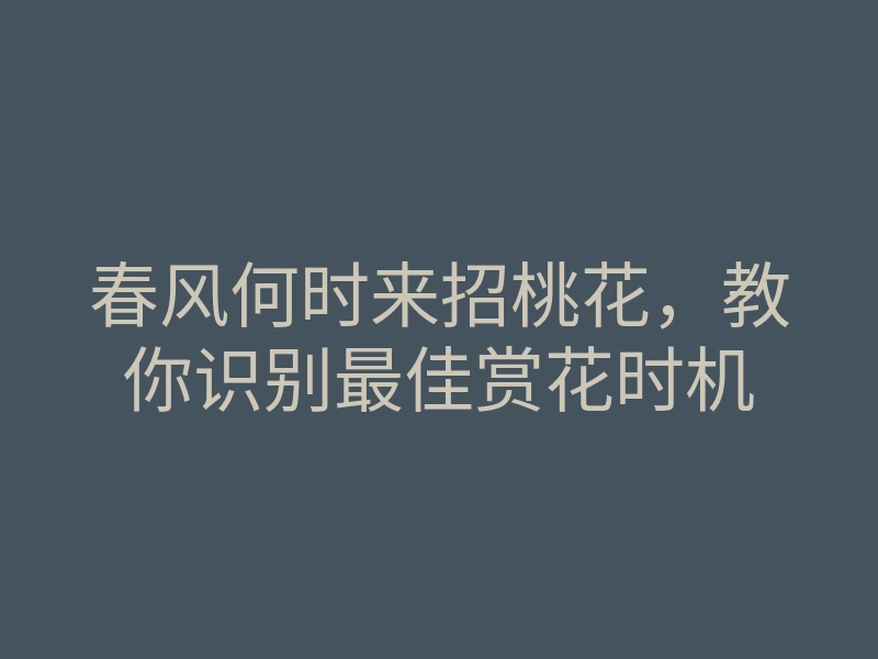 春风何时来招桃花,教你识别最佳赏花时机