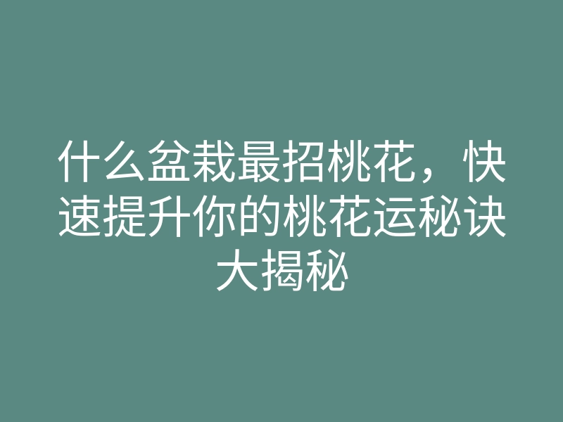 什么盆栽最招桃花,快速提升你的桃花运秘诀大揭秘