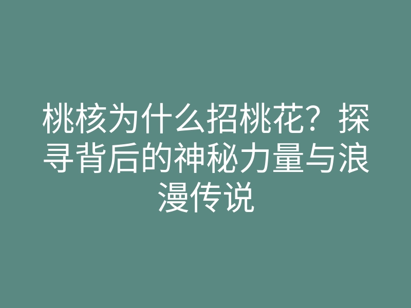 桃核为什么招桃花?探寻背后的神秘力量与浪漫传说