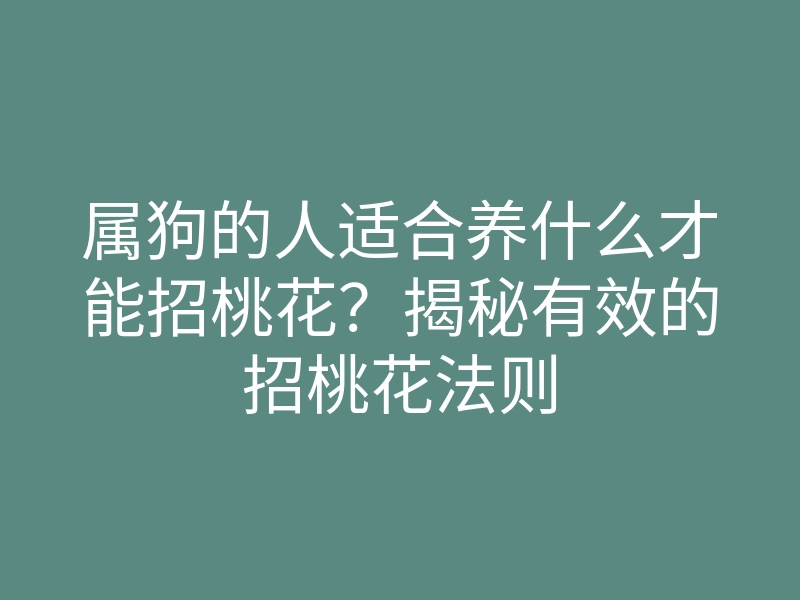 属狗的人适合养什么才能招桃花?揭秘有效的招桃花法则
