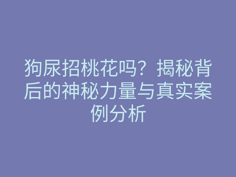 狗尿招桃花吗?揭秘背后的神秘力量与真实案例分析