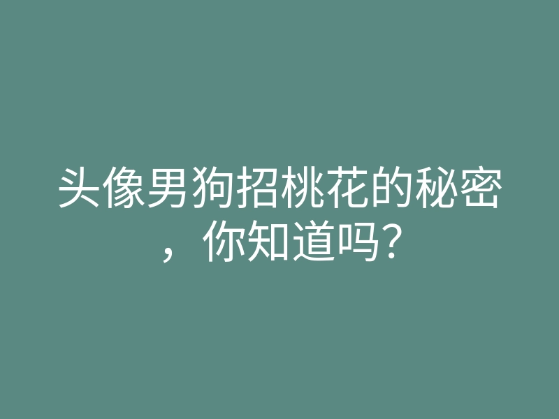 头像男狗招桃花的秘密,你知道吗?