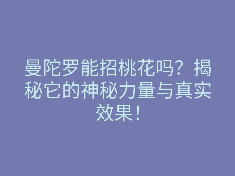 曼陀罗能招桃花吗？揭秘它的神秘力量与真实效果！