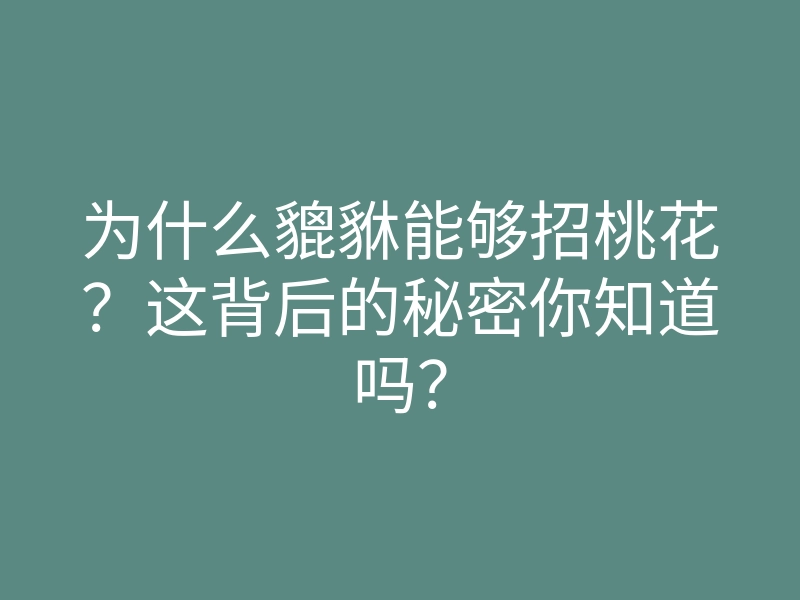 为什么貔貅能够招桃花?这背后的秘密你知道吗?