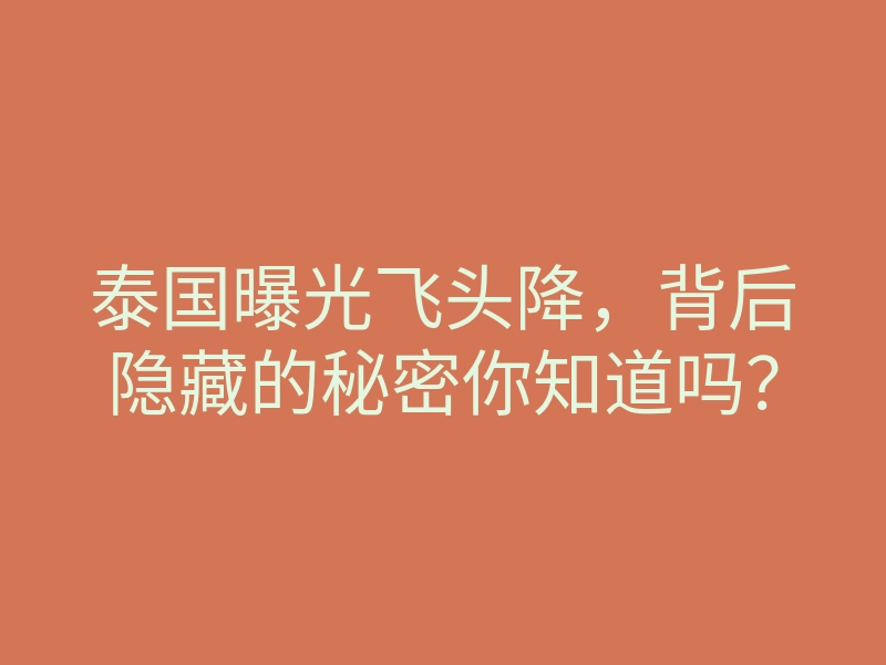 泰国曝光飞头降,背后隐藏的秘密你知道吗?